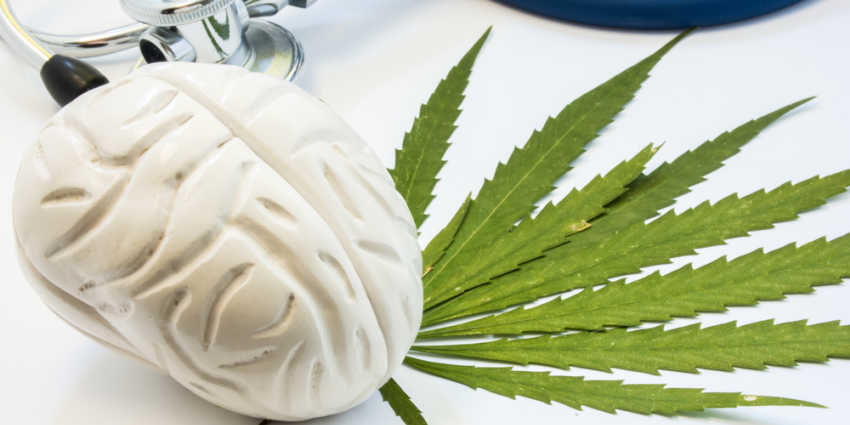 Marijuana Abuse by Youth with Mood Disorders Linked to Suicide Attempts